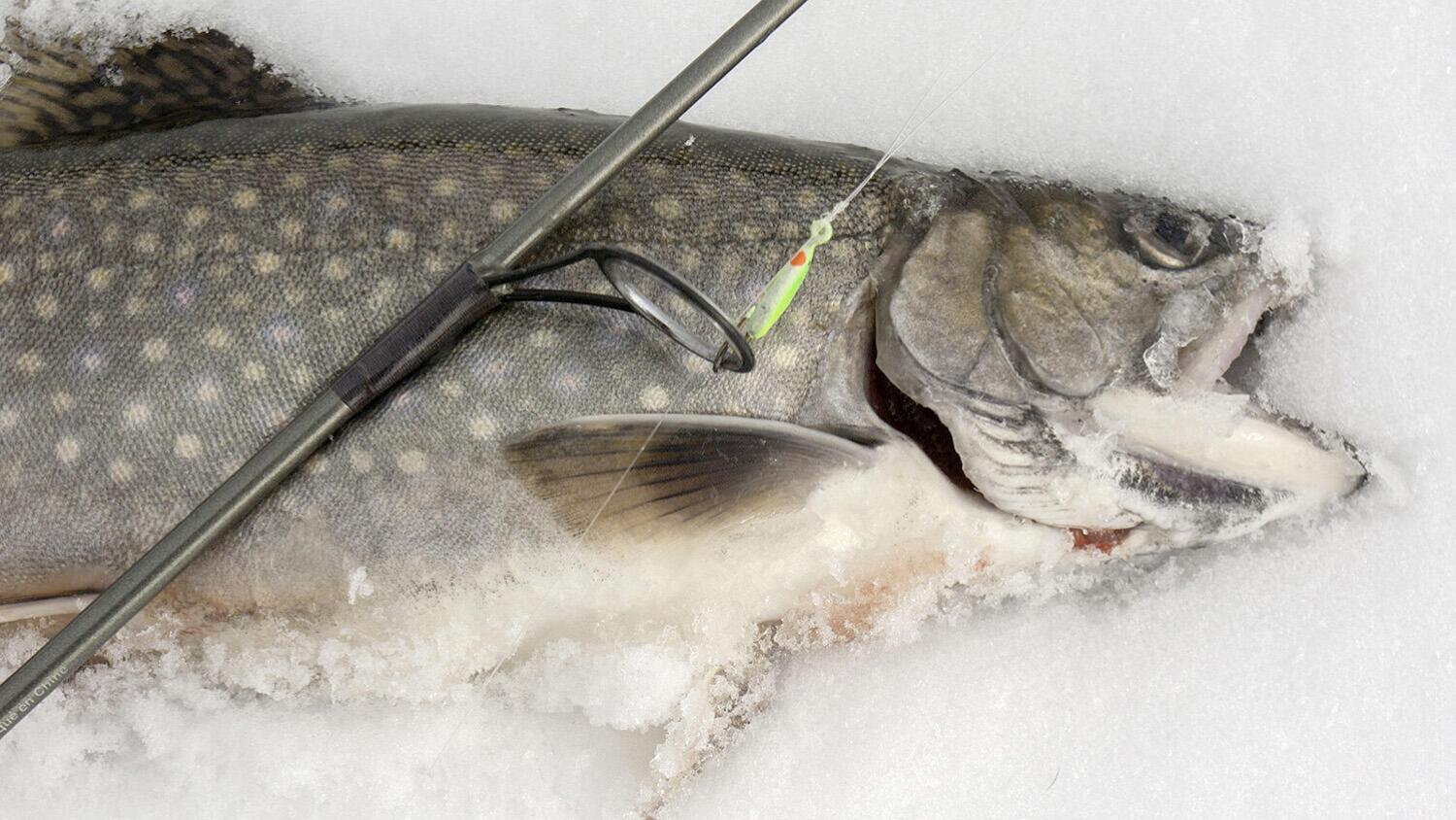 Pulse of Ely Podcast March 31, 2026 - Nick and Tom cover the Ely area