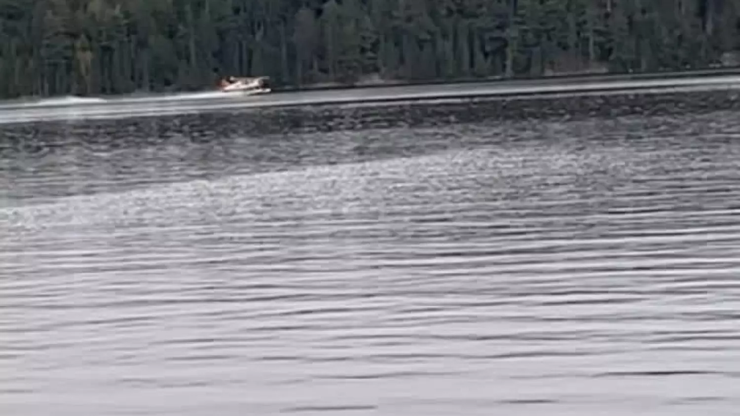 Forest Service Beaver Floatplane scooping up water