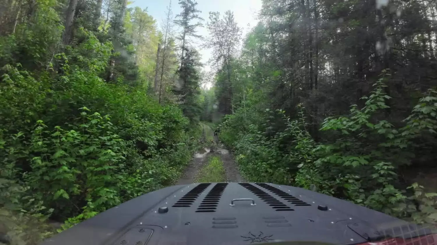 Riding on Forest Service Roads with Snotty Moose's Ken Hupila