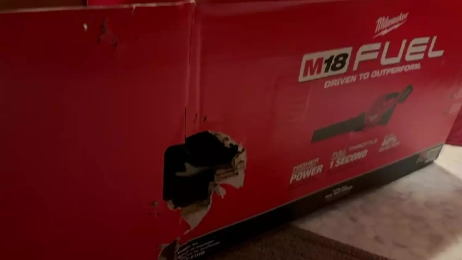 Fresh Catnip #26: Boxed In